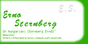 erno sternberg business card